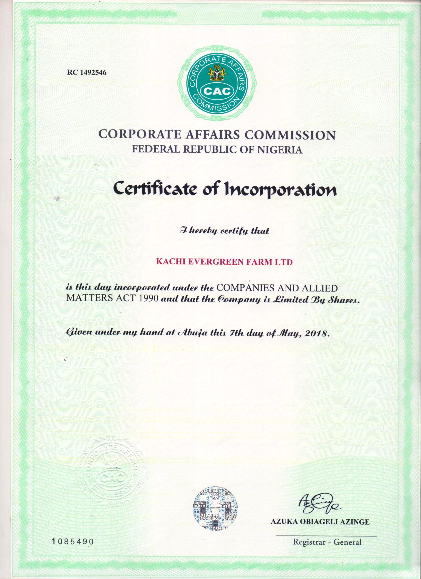 Business License